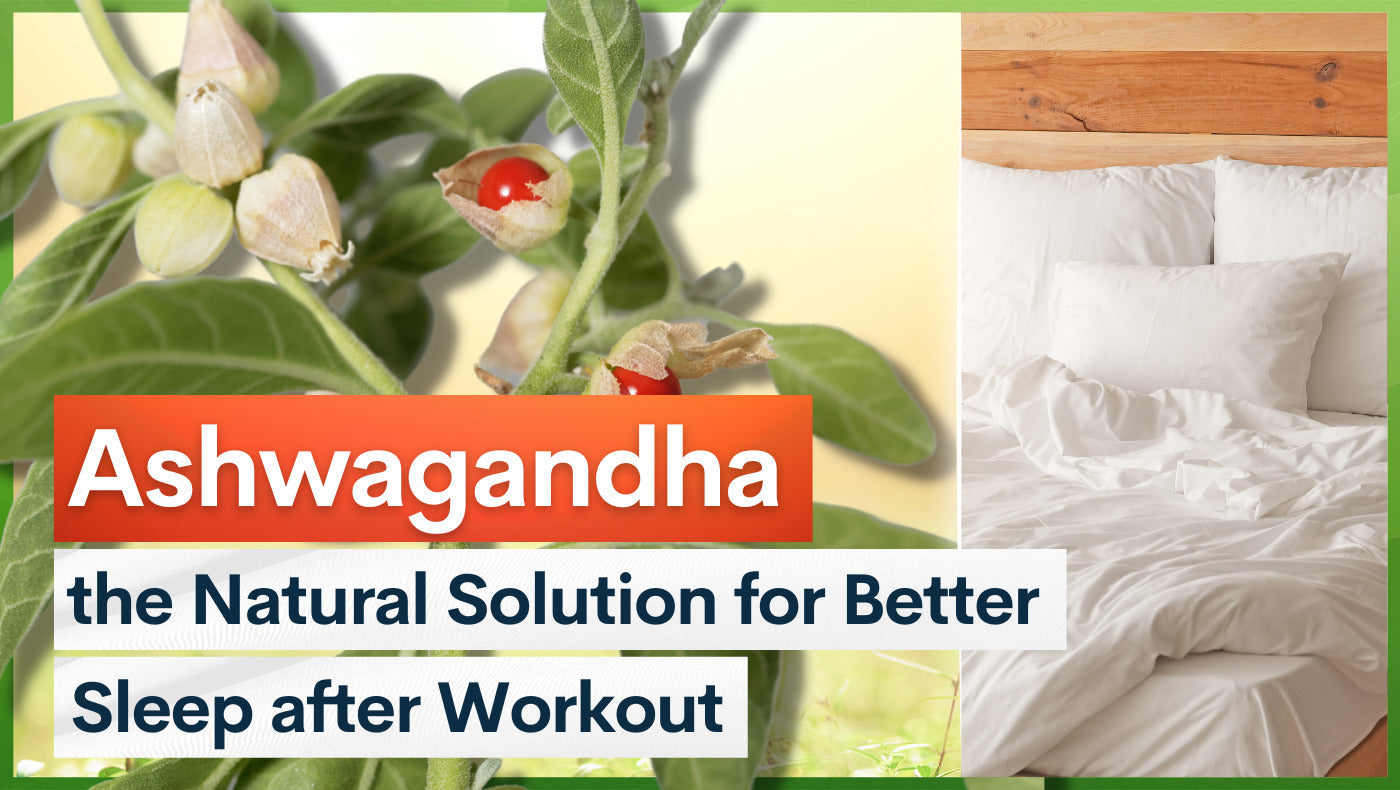 Ashwagandha the Natural Solution for Better Sleep after Workout