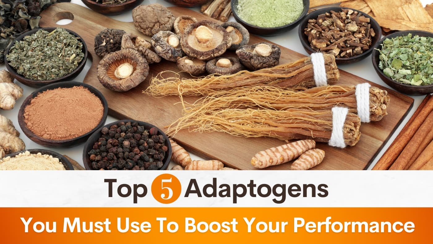 The Top 5 Adaptogens You Must Use To Boost Your Performance