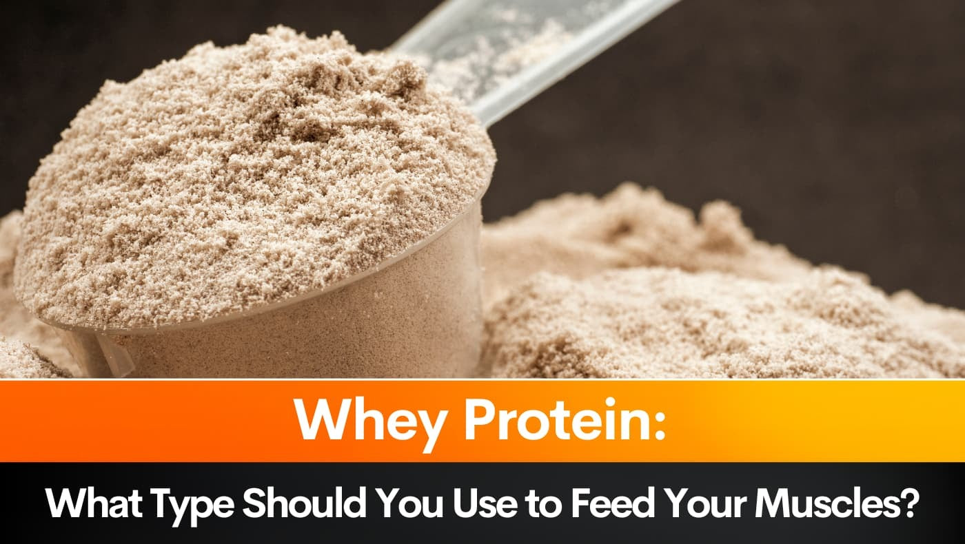 Whey Protein: What Type Should You Use to Feed Your Muscles?