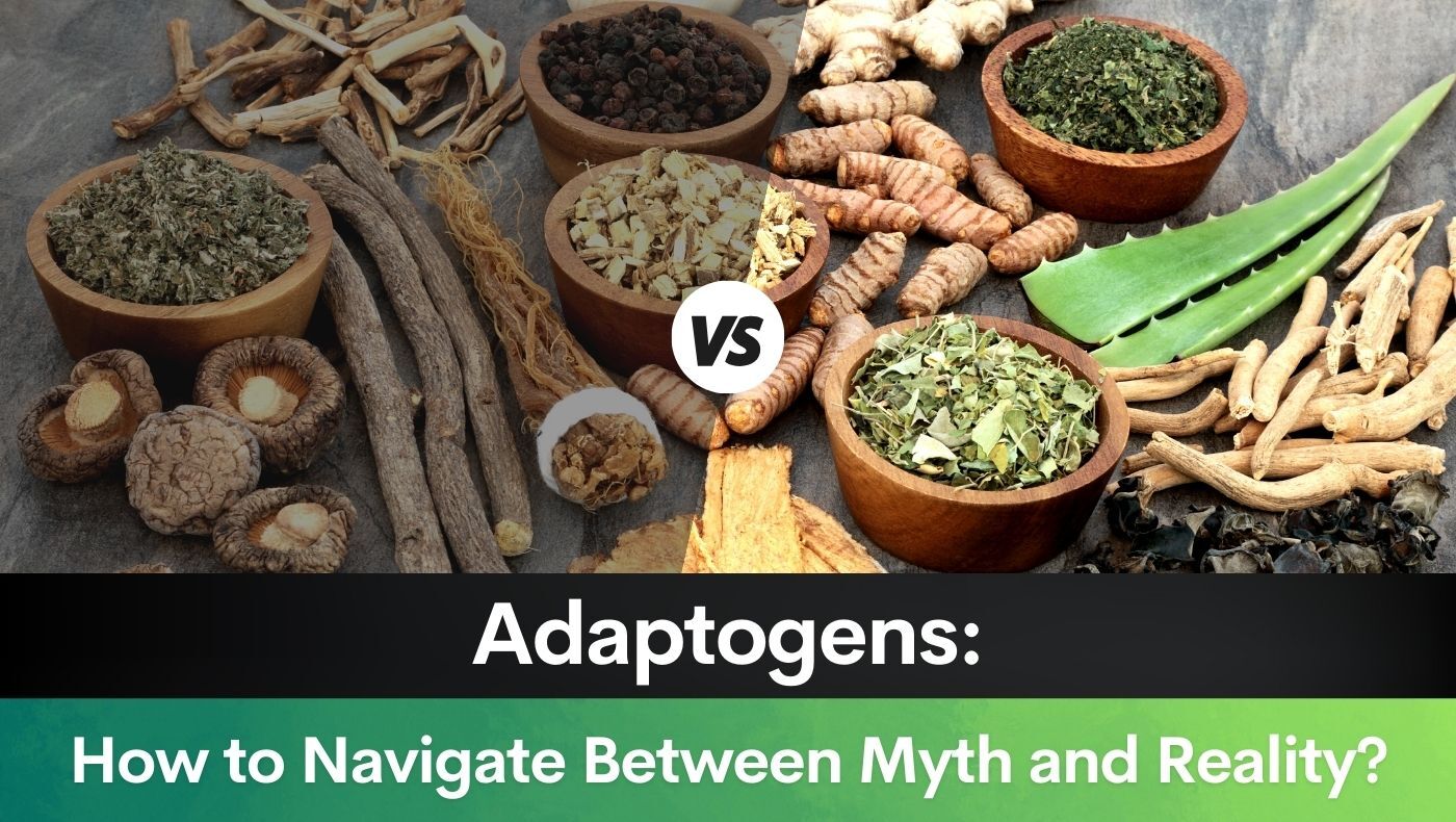 Adaptogens: How to Navigate Between Myth and Reality?