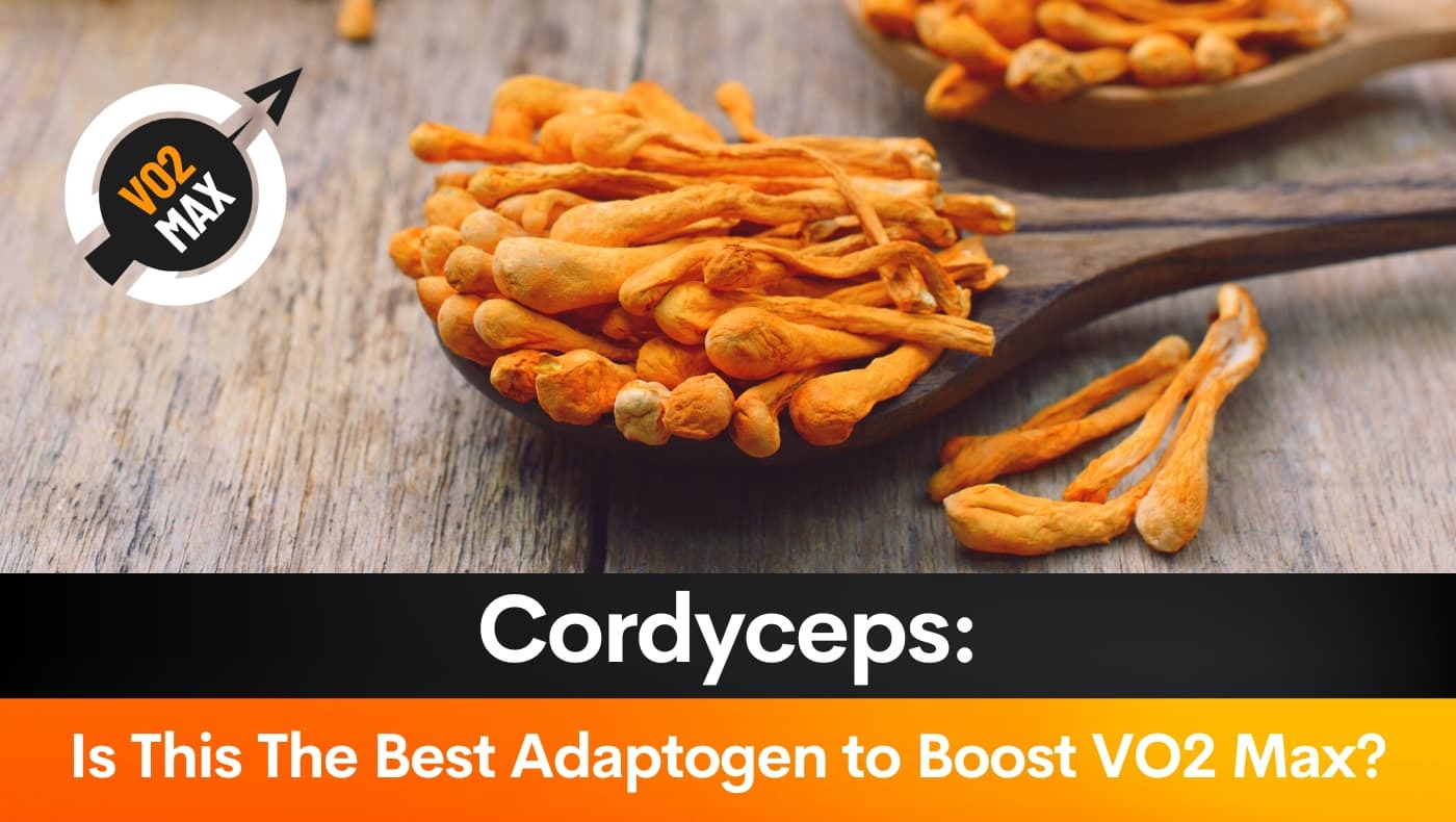 Cordyceps: Is This The Best Adaptogen to Boost VO2 Max?