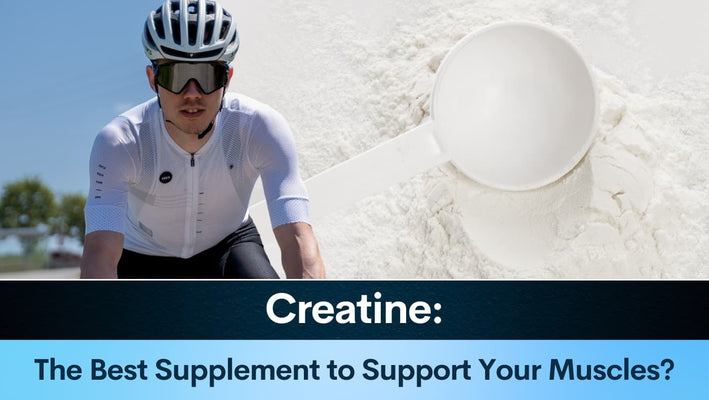 Creatine The Best Supplement to Support Your Muscles