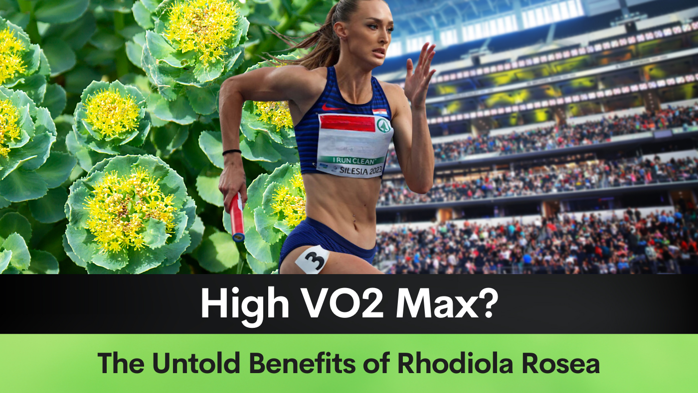 High VO2 Max? The Untold Benefits of Rhodiola Rosea