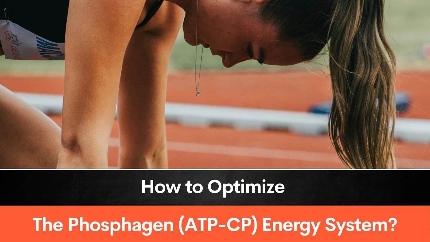 How to Optimize The Phosphagen (ATP-CP) Energy System?